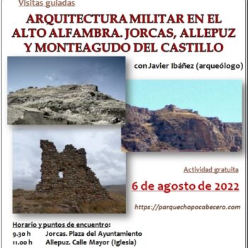 LA ARQUITECTURA MILITAR EN EL ALTO ALFAMBRA: JORCAS, ALLEPUZ Y MONTEAGUDO DEL CASTILLO