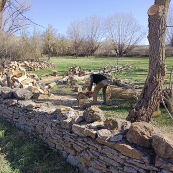 II BECA DE INVESTIGACIÓN «PARQUE CULTURAL DEL CHOPO CABECERO DEL ALTO ALFAMBRA»