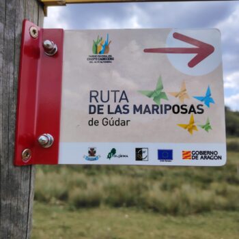 LA RUTA DE LAS MARIPOSAS DE GÚDAR