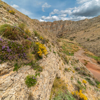 V CONCURSO DE FOTOGRAFÍA «EL PARQUE CULTURAL DEL CHOPO CABECERO DEL ALTO ALFAMBRA»